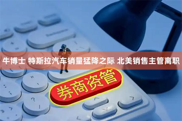 牛博士 特斯拉汽车销量猛降之际 北美销售主管离职