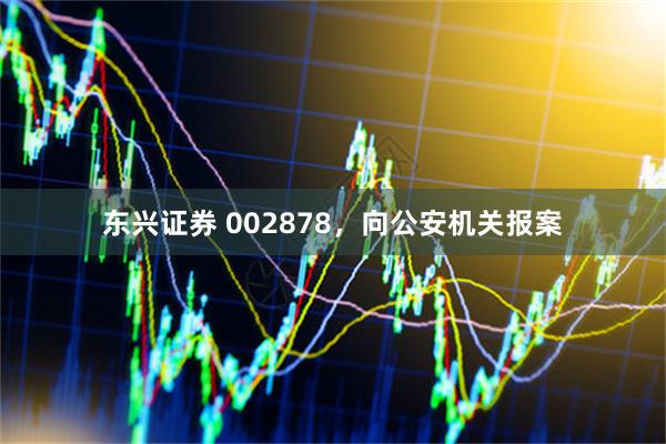东兴证券 002878，向公安机关报案