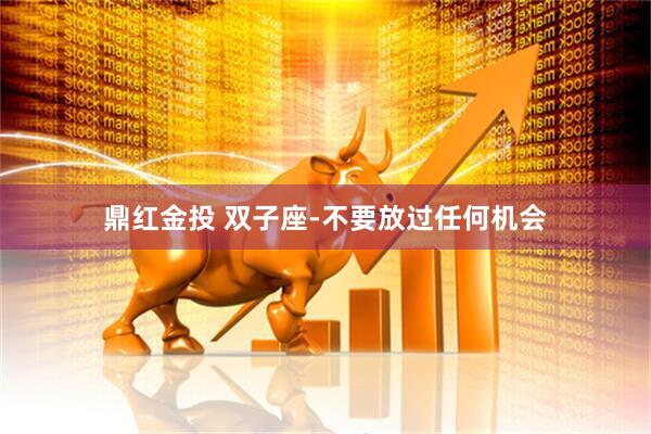 鼎红金投 双子座-不要放过任何机会
